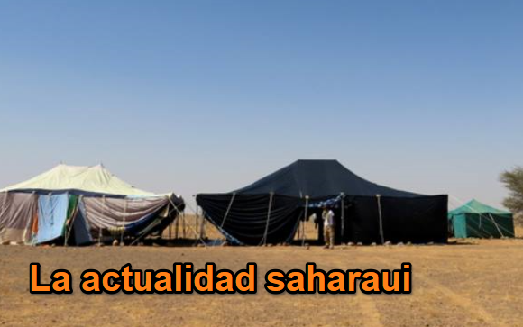 mnbhjtr45 Noticias del SAHARA OCCIDENTAL – 14/1/2024 – La Actualidad Saharaui