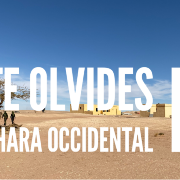 Noticias del SAHARA OCCIDENTAL – 18/1/2024 – La Actualidad Saharaui