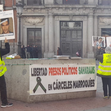 Noticias del SAHARA OCCIDENTAL – 30/1/2024 – La Actualidad Saharaui