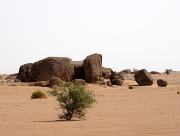 330084106_527019186200480_1317000216165292744_n Noticias del SAHARA OCCIDENTAL – 17/2/2024 – La Actualidad Saharaui