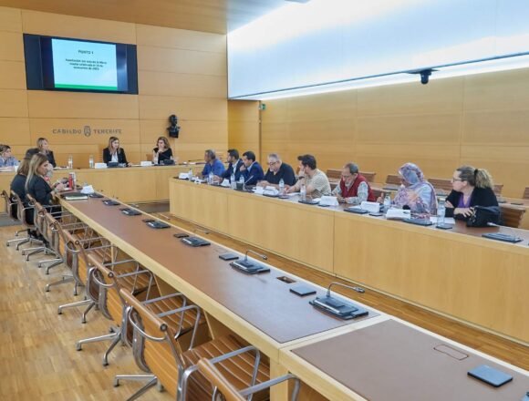 El Cabildo acoge la primera reunión del año de la Mesa Insular del Pueblo Saharaui – Diario de Tenerife