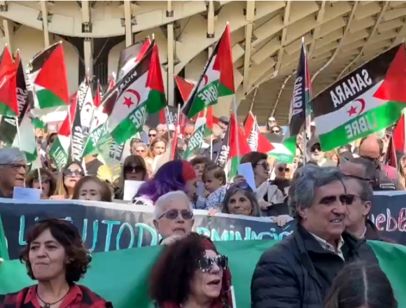 opooil Noticias del SAHARA OCCIDENTAL – 5/2/2024 – La Actualidad Saharaui