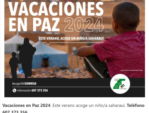 MÁLAGA – Vacaciones en paz para los niños y niñas saharauis, víctimas de un conflicto olvidado | malagaldia