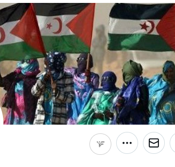 L’initiative humanitaire brésilienne aux réfugiés sahraouis annoncée à Alger | Sahara Press Service (SPS)