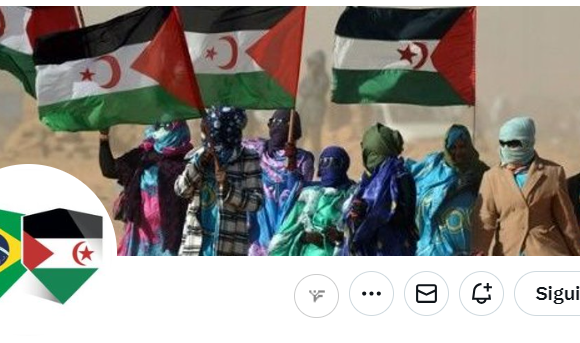 sdfghyjuk L’initiative humanitaire brésilienne aux réfugiés sahraouis annoncée à Alger | Sahara Press Service (SPS)