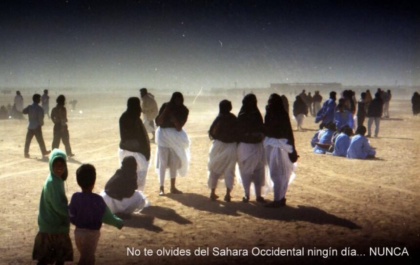 Noticias del SAHARA OCCIDENTAL – 8/3/2024 – La Actualidad Saharaui