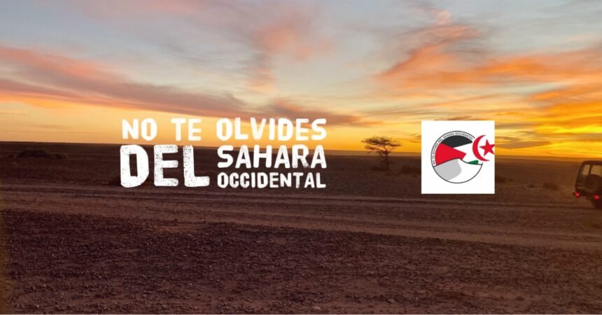 Noticias del SAHARA OCCIDENTAL – 15/3/2024 – La Actualidad Saharaui