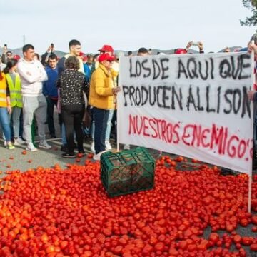 Los platos de los almerienses se llenan de hortalizas de Marruecos: se disparan hasta un 900% las importaciones