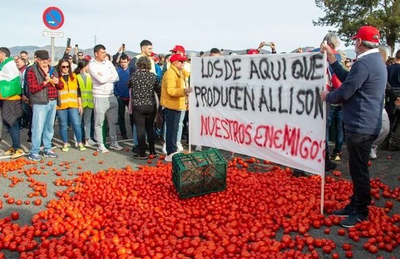 Los platos de los almerienses se llenan de hortalizas de Marruecos: se disparan hasta un 900% las importaciones