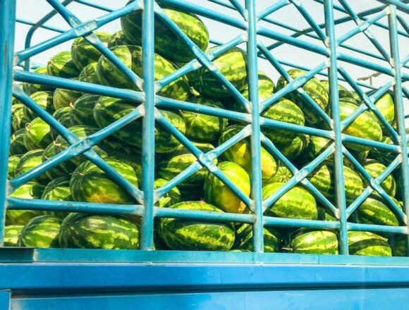 COAG insta a la acción frente a las importaciones marroquíes que realmente vienen del Sáhara Occidental