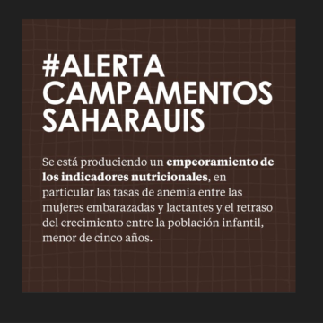 Noticias del SAHARA OCCIDENTAL – 19/3/2024 – La Actualidad Saharaui
