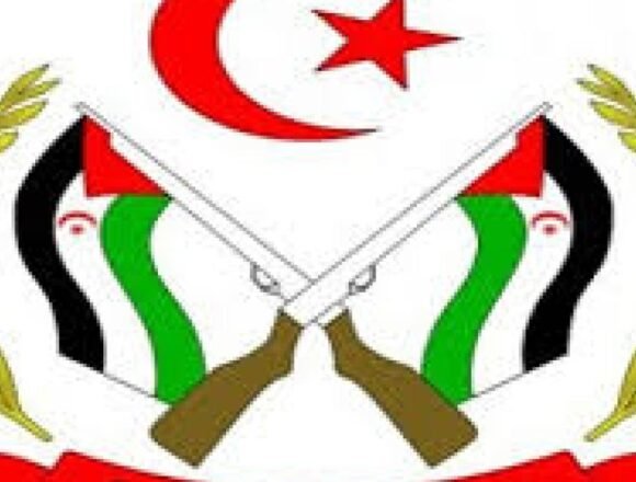 Francia vetó continuamente la adopción de un mecanismo para observancia y control de los DD. HH en el Sahara Occidental | Sahara Press Service (SPS)