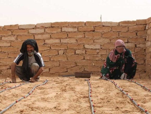 El deterioro de la situación humanitaria en los campamentos de refugiados saharauis de Tinduf afecta a casi 174.000 personas – Diario16plus