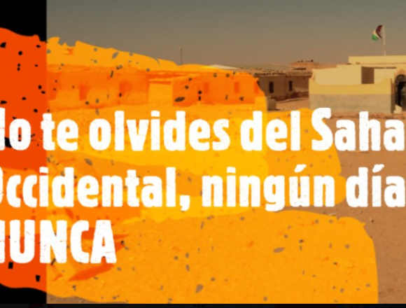 Noticias del SAHARA OCCIDENTAL – 13/4/2024 – La Actualidad Saharaui