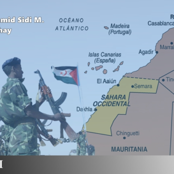 Marruecos y el fin del saqueo económico del Sáhara Occidental ocupado: claves para desbloquear el conflicto | ECSAHARAUI