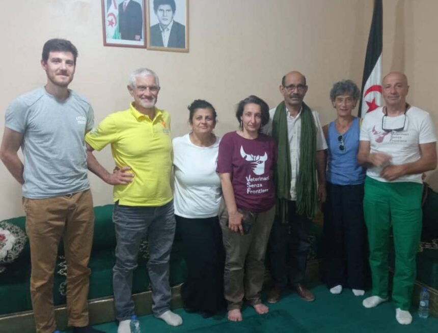 1000173412 Ministro de Salud Pública recibe a una delegación de la ONG italiana «África 70” | Sahara Press Service (SPS)