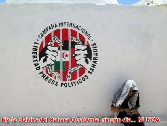 Noticias del SAHARA OCCIDENTAL – 24/5/2024 – La Actualidad Saharaui