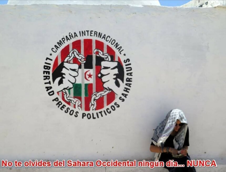 Noticias del SAHARA OCCIDENTAL – 24/5/2024 – La Actualidad Saharaui