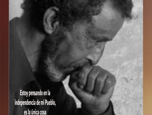 Bubisher | RAÍCES – Josu Jimenez Maia