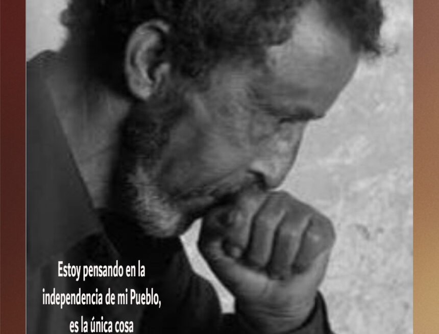 Bubisher | RAÍCES – Josu Jimenez Maia