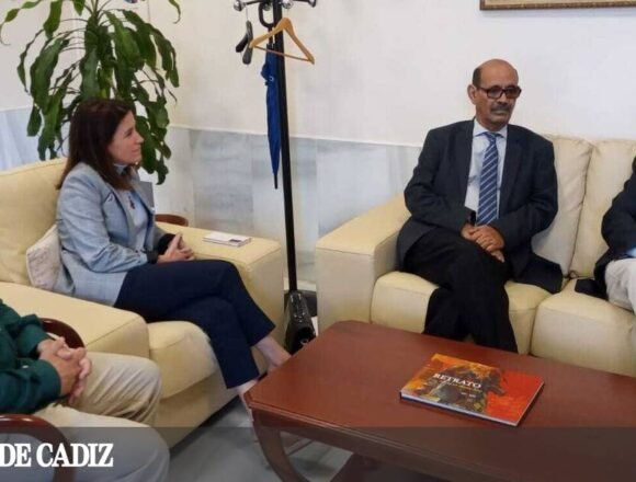 La Universidad de Cádiz y el Ministerio de Salud Pública Saharaui estrechan lazos para la formación de médicos