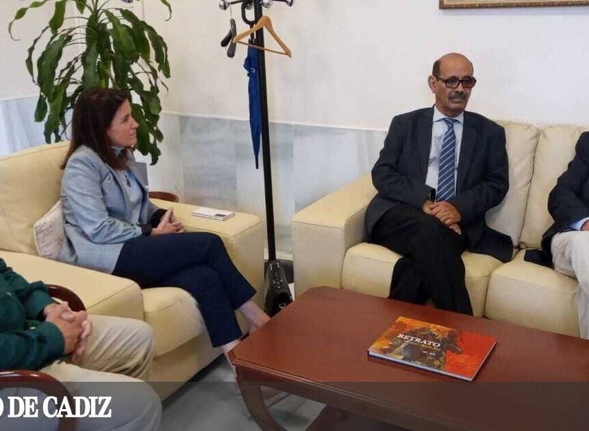 Salud-Publica-Saharaui-UCA-Fundacion_1898820876_210986779_1200x675 La Universidad de Cádiz y el Ministerio de Salud Pública Saharaui estrechan lazos para la formación de médicos