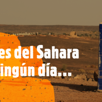 Noticias del SAHARA OCCIDENTAL – 31/5/2024 – La Actualidad Saharaui