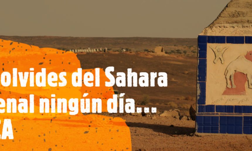 Noticias del SAHARA OCCIDENTAL – 31/5/2024 – La Actualidad Saharaui