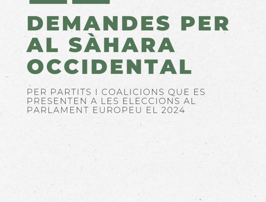 22 demandes sobre el Sàhara Occidental en el marc de les Eleccions Europees | Federació ACAPS