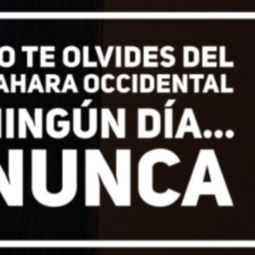 Noticias del SAHARA OCCIDENTAL – 9/5/2024 – La Actualidad Saharaui