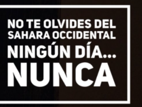 Noticias del SAHARA OCCIDENTAL – 9/5/2024 – La Actualidad Saharaui