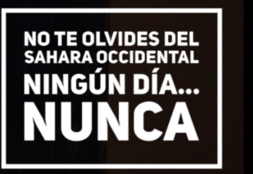 qwertyujk Noticias del SAHARA OCCIDENTAL – 9/5/2024 – La Actualidad Saharaui