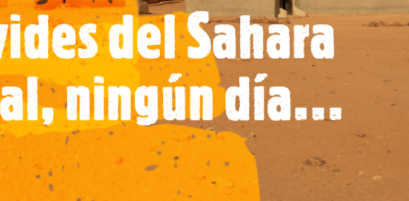 sdfghbnm, Noticias del SAHARA OCCIDENTAL – 30/5/2024 – La Actualidad Saharaui