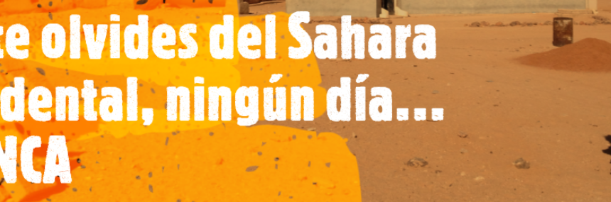 Noticias del SAHARA OCCIDENTAL – 30/5/2024 – La Actualidad Saharaui