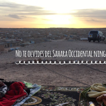 Noticias del SAHARA OCCIDENTAL – 4/5/2024 – La Actualidad Saharaui