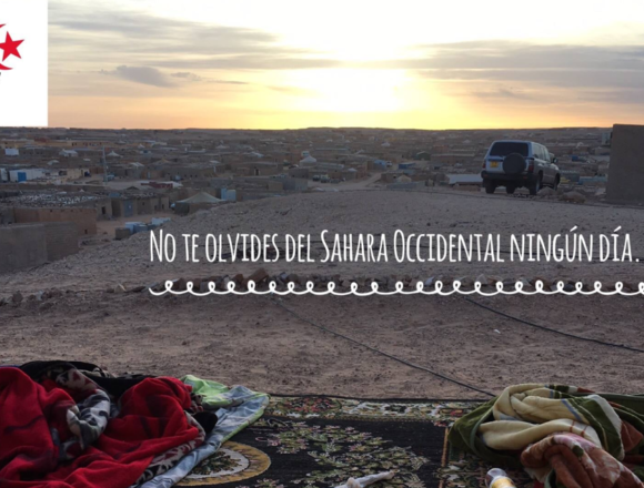 Noticias del SAHARA OCCIDENTAL – 4/5/2024 – La Actualidad Saharaui