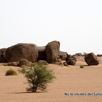 Noticias del SAHARA OCCIDENTAL – 11/5/2024 – La Actualidad Saharaui