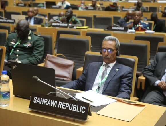 1000191446 La RASD participa en la VI Sesión Ordinaria del CTE de Defensa y Seguridad de la UA | Sahara Press Service (SPS)