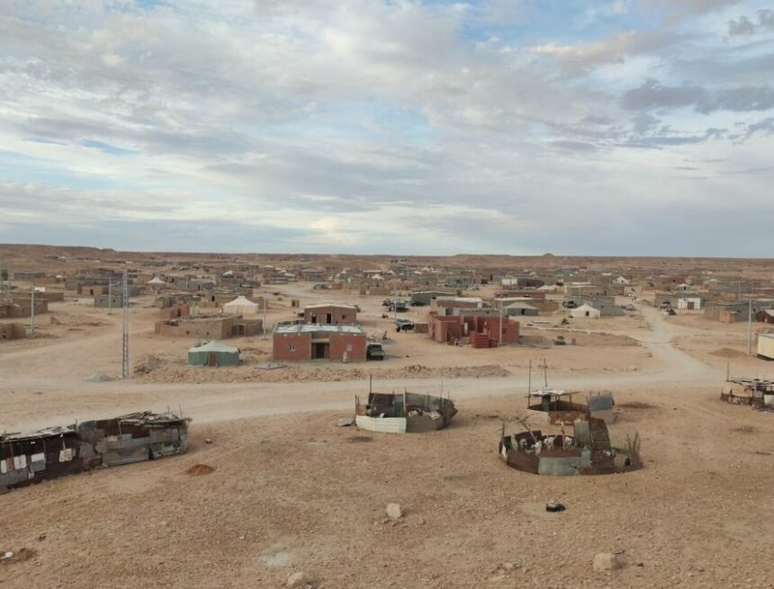 Vacaciones en paz, un programa que amplía las familias de Euskadi en verano – Diario de Noticias de Navarra