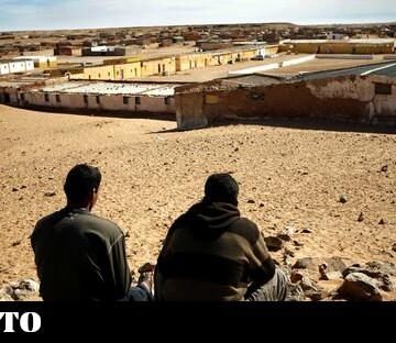 Sáhara Occidental | El pequeño Chaiba, o la evacuación como única salida ante el desamparo sanitario en el Sáhara Occidental – El Salto – Edición General
