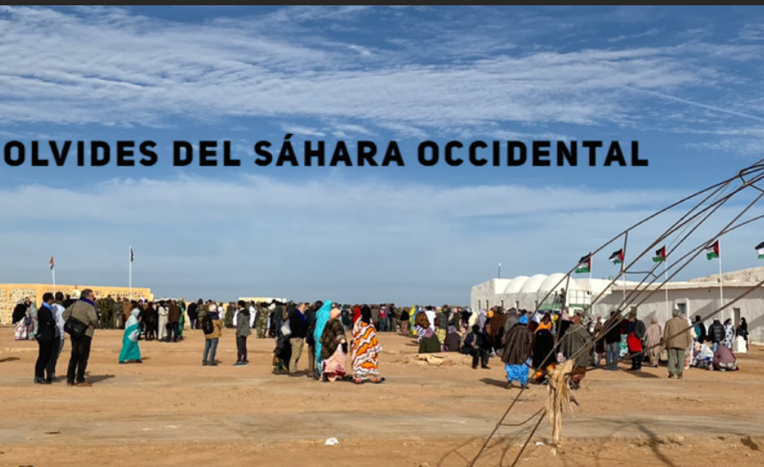 Noticias del SAHARA OCCIDENTAL – 3/6/2024 – La Actualidad Saharaui