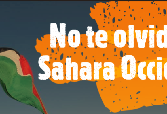 dfghjuklñ Noticias del SAHARA OCCIDENTAL – 1/6/2024 – La Actualidad Saharaui