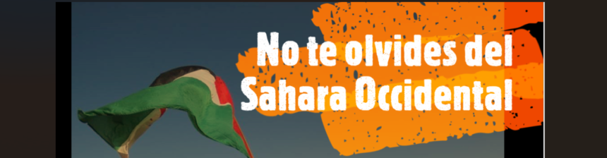 Noticias del SAHARA OCCIDENTAL – 1/6/2024 – La Actualidad Saharaui