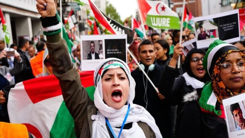 Manifestación el 20 de Junio en Ginebra en apoyo al Sáhara Occidental | ECSAHARAUI