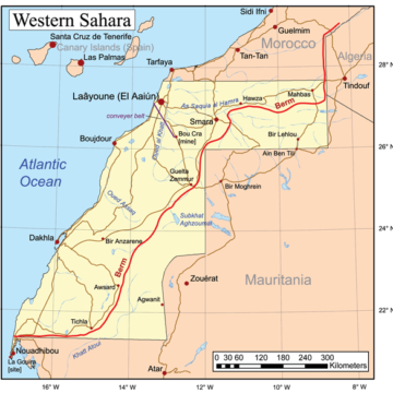 Nuevo mundo, nueva esperanza: la lucha por un Sáhara Occidental libre continúa – Voces del Mundo