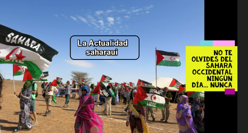 Noticias del SAHARA OCCIDENTAL – 7/6/2024 – La Actualidad Saharaui