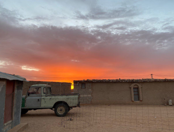 Eid al-Adha: celebraciones en los campos de refugiados saharauis y en los territorios ocupados – Sahara Occidental