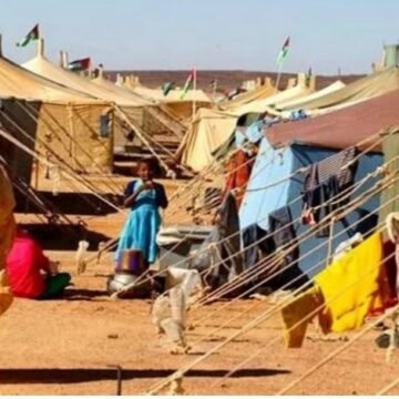Politique marocaine de la terre brûlée au Sahara occidental – Horizons