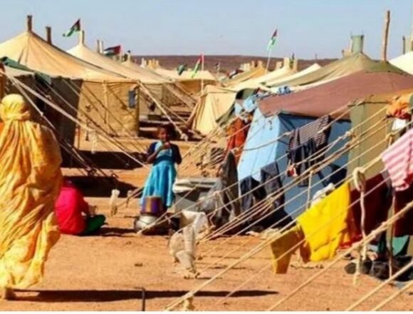 01-maroc-01-780x470 Politique marocaine de la terre brûlée au Sahara occidental – Horizons