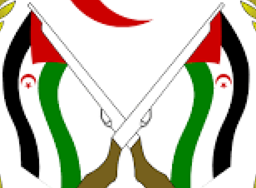 France is excluded from all international efforts related to decolonization of Western Sahara due to its hostile position (statement) | Sahara Press Service (SPS)